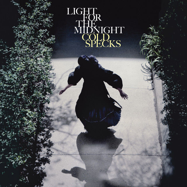 Light for the Midnight cover art