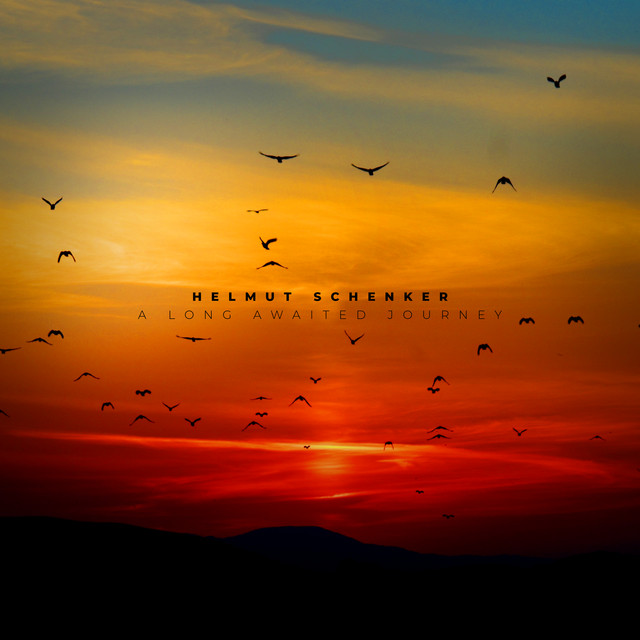 A Long Awaited Journey cover art