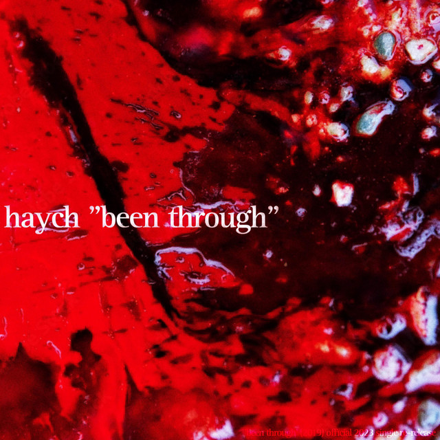 been through cover art