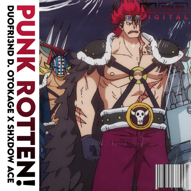 PUNK ROTTEN! - Single by Duofri3nd the Producer | Spotify