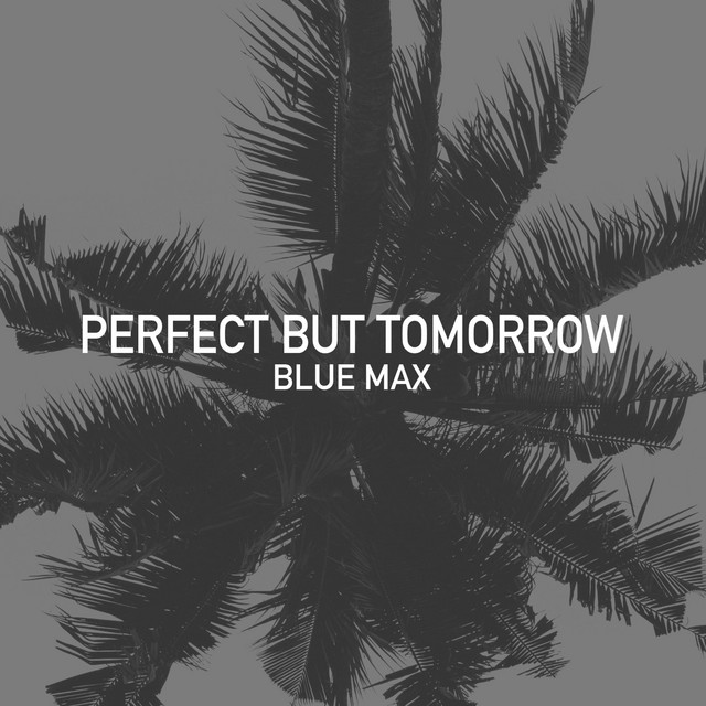 Perfect but Tomorrow cover