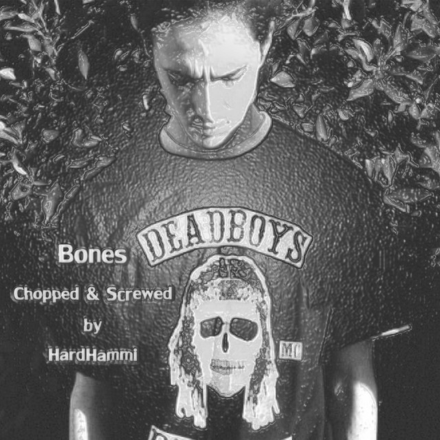 Chopped and Screwed by Hardhammi cover art
