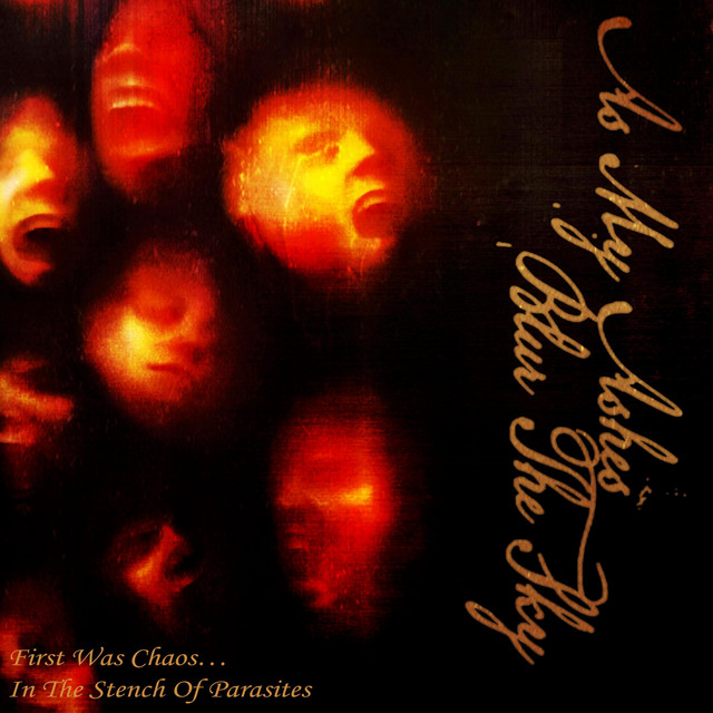 First Was Chaos...In The Stench Of Parasites cover art