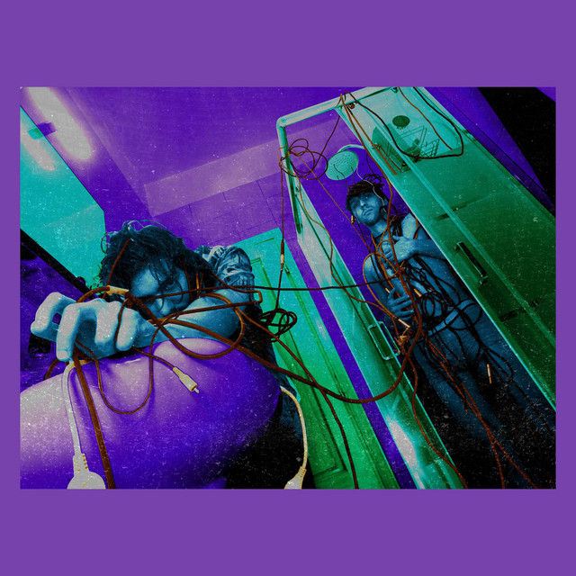 Wires cover art