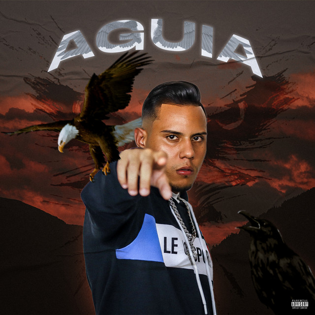 Águia