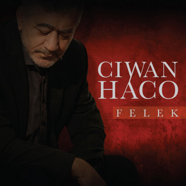 Felek cover art