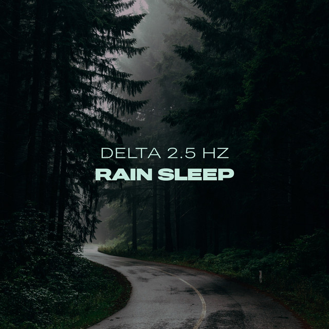 Rain Sleep – Delta 2.5 Hz cover art