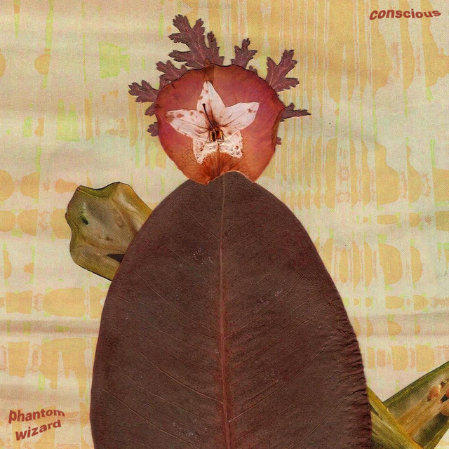 Conscious cover art
