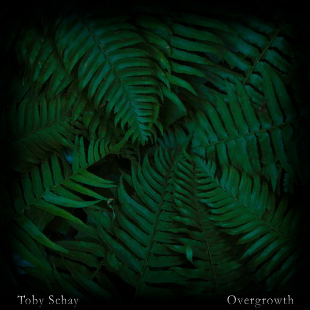 Overgrowth cover art