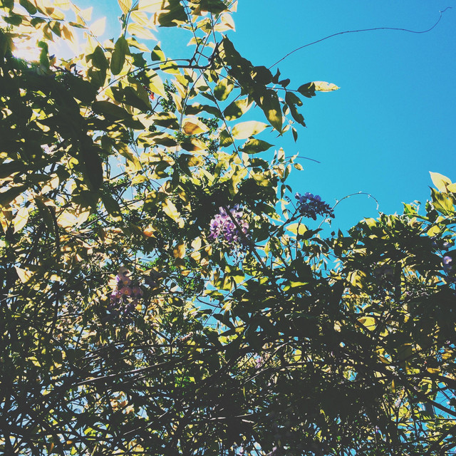 Spring cover