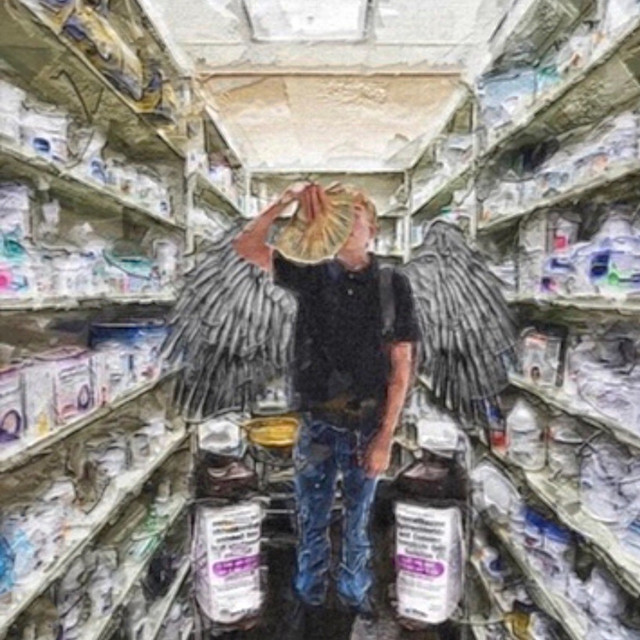 crazy cover art