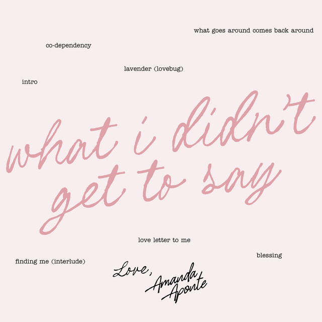 what i didn't get to say cover art