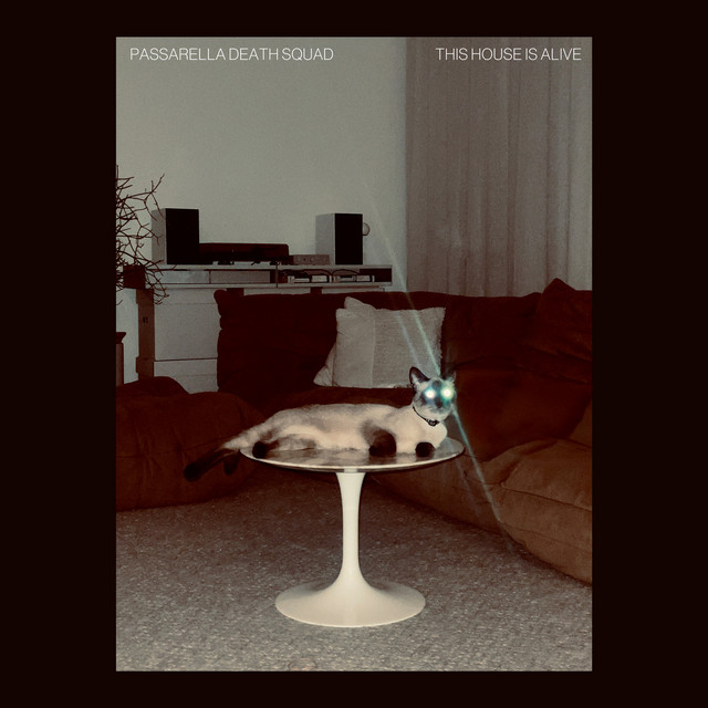 This House Is Alive cover