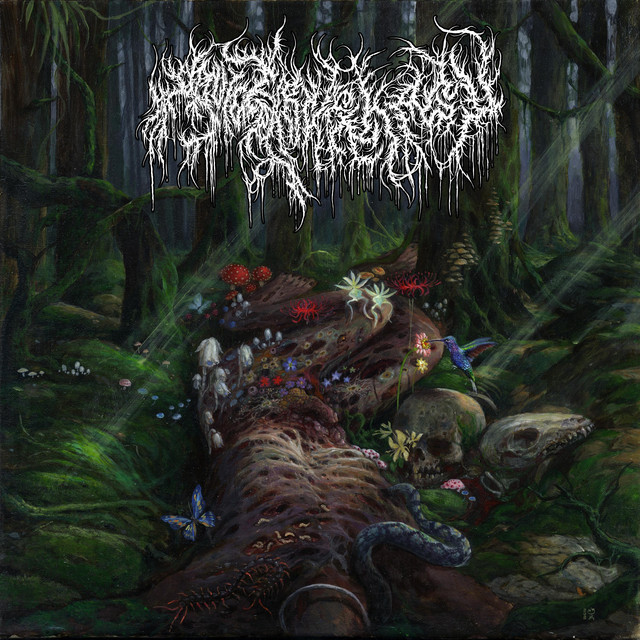 Dolor cover art