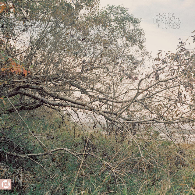 Jessica Dennison + Jones cover art