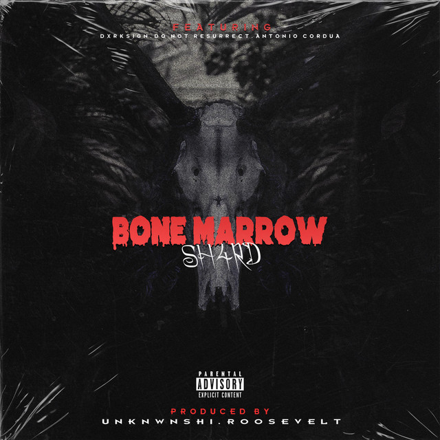 BONE MARROW cover art