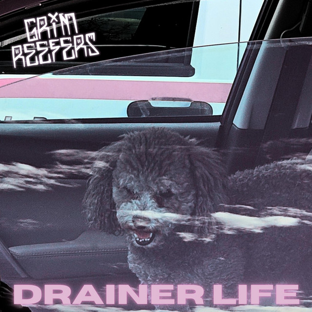 Drainer Life cover art