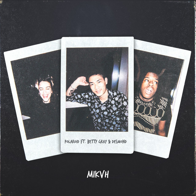 Polaroid cover