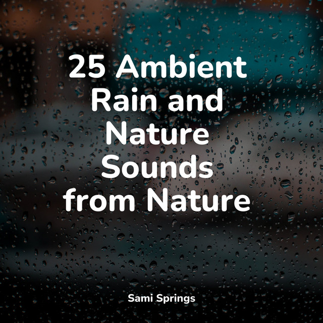25 Ambient Rain and Nature Sounds from Nature - Album by Musica Reiki ...