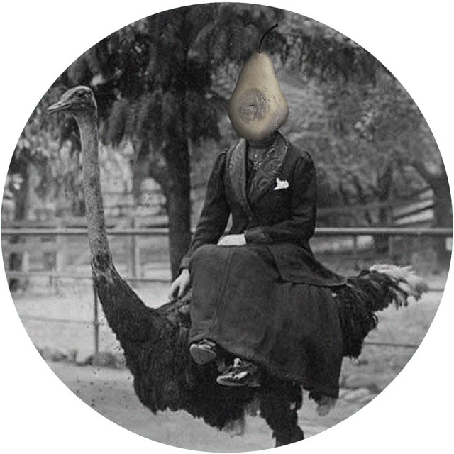 Didi album art
