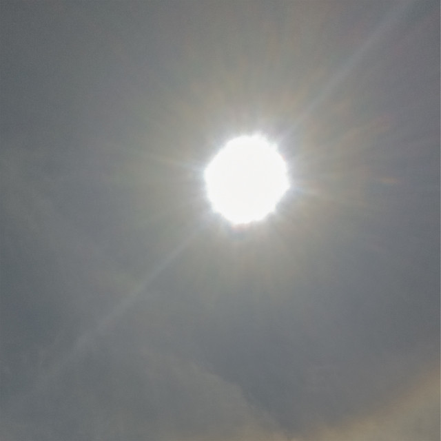 sun. cover art