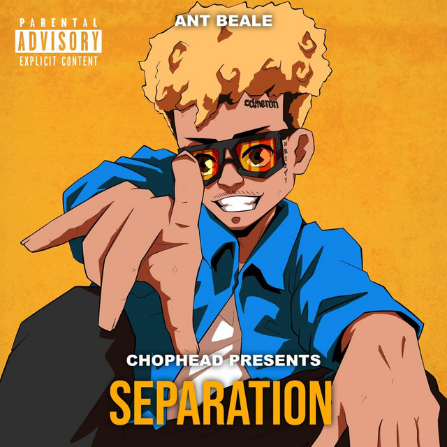 Separation by Ant Beale