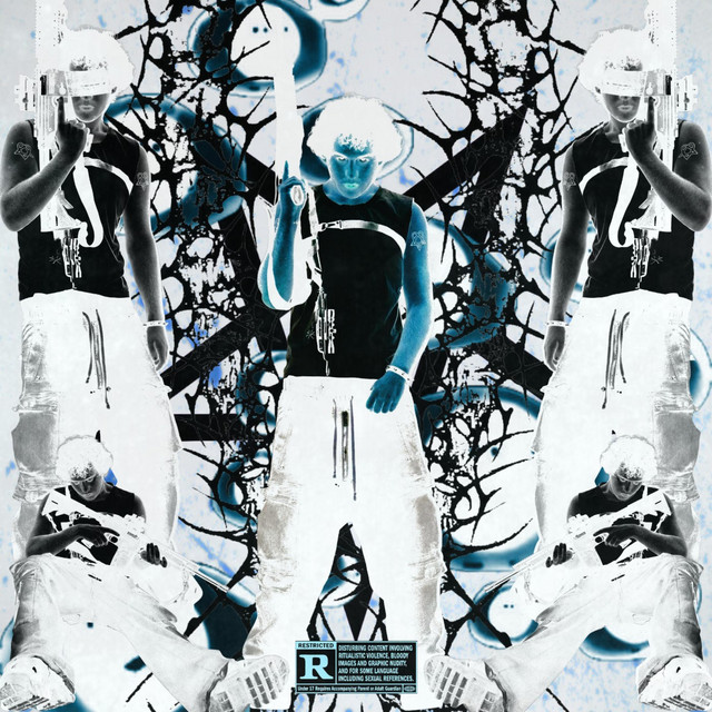 newrok cover art