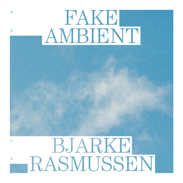 Fake Ambient cover art