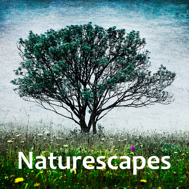 Naturescapes cover art