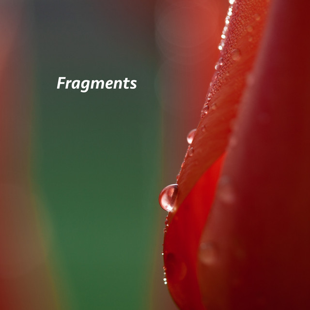 Fragments