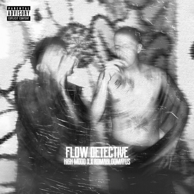 FLOW DETECTIVE cover art