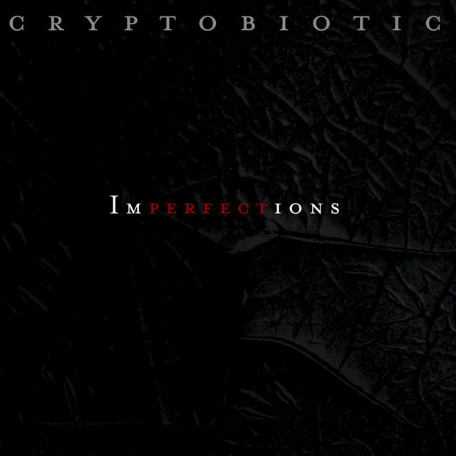 Imperfections cover art