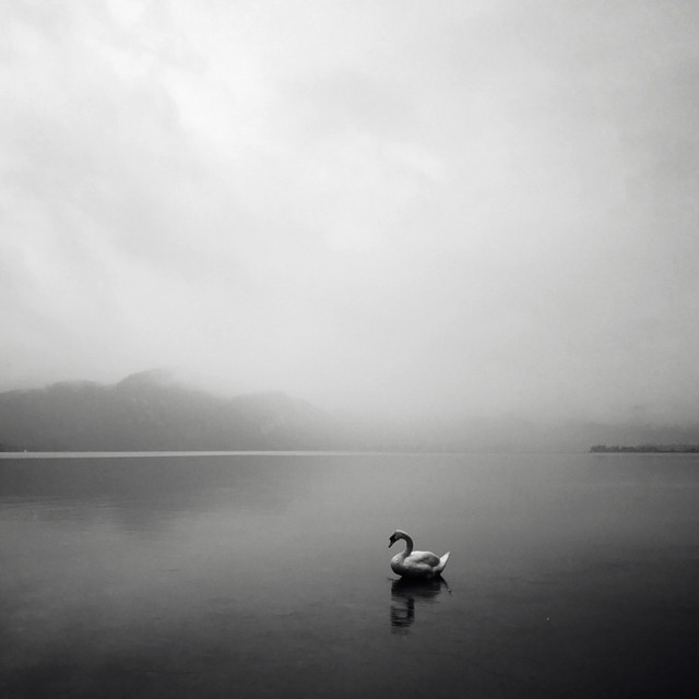 Silence cover art
