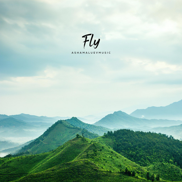 Обкладинка: Fly — AShamaluevMusic