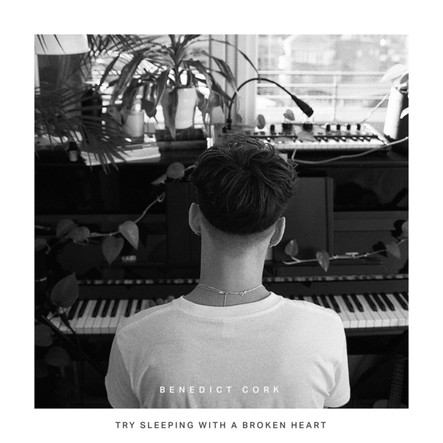 Try Sleeping With A Broken Heart cover