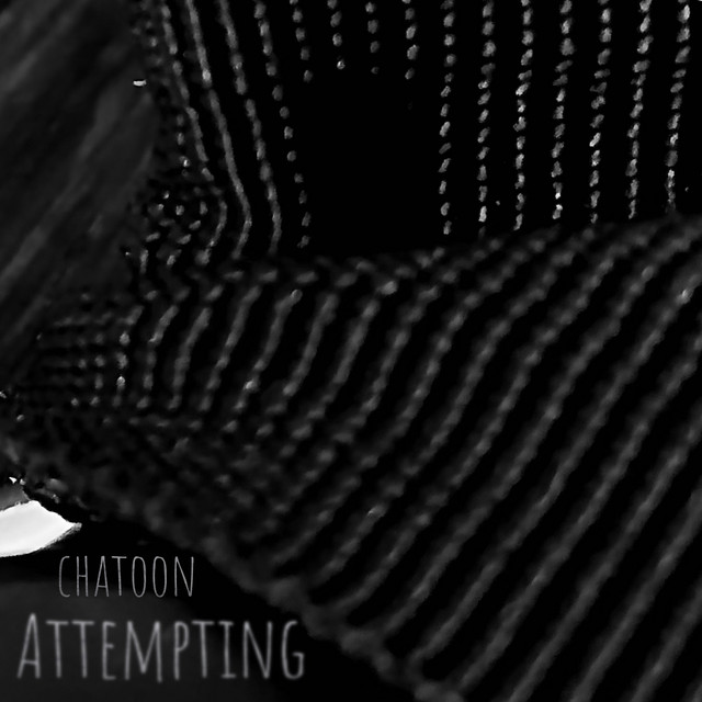 Обкладинка: Attempting — chatoon