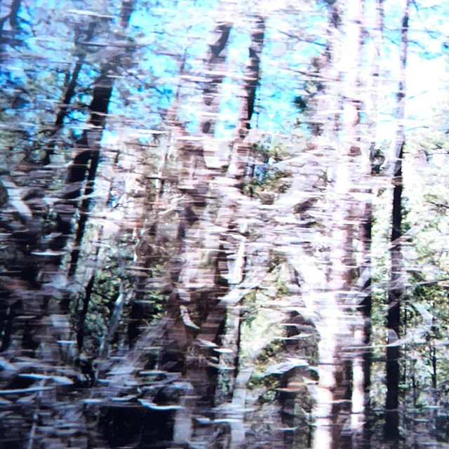 Northwood (Paint Over Paint Over Paint) cover art