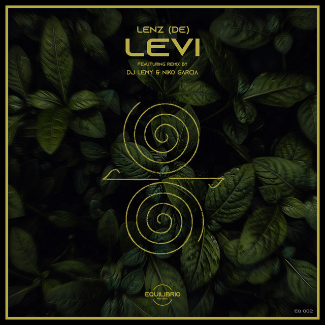 Levi cover art