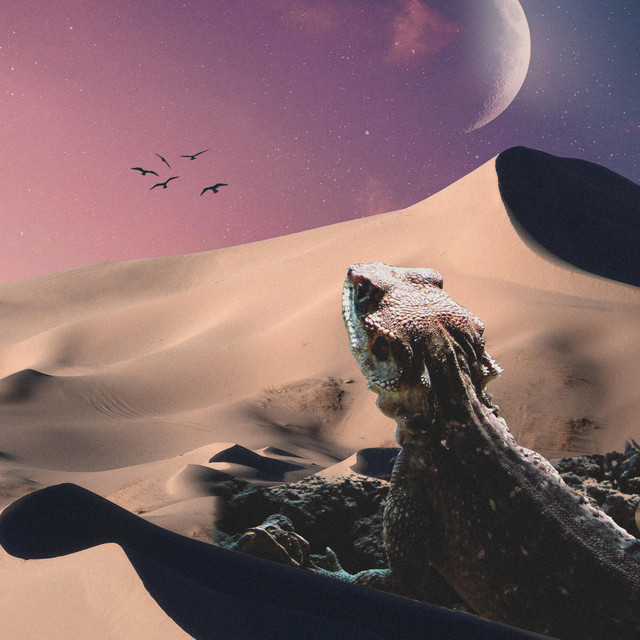 FOURTYEIGHT cover art
