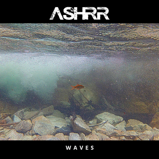 Waves cover art