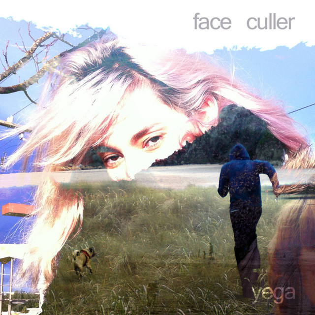 Face Culler