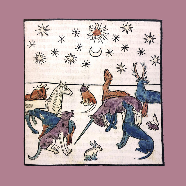 Half-Light Unfolding cover