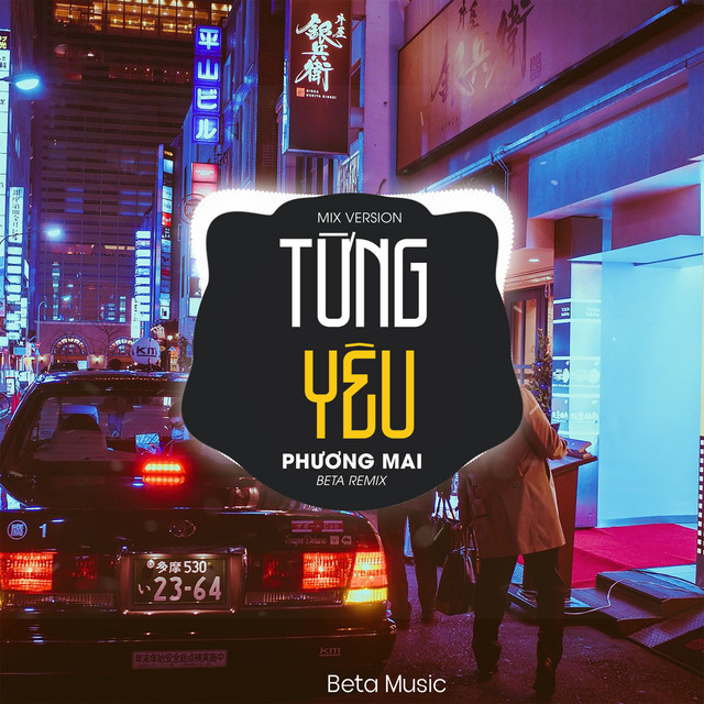 Từng Yêu (Remix) cover
