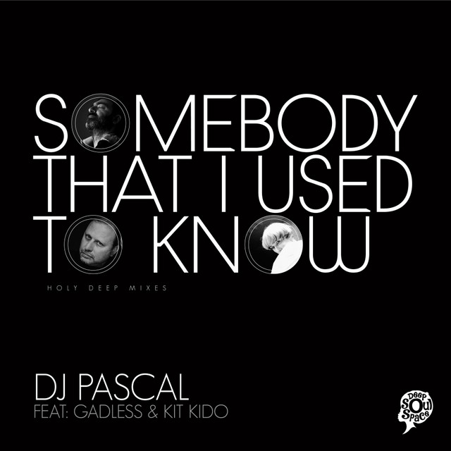 Somebody That I Used to Know cover