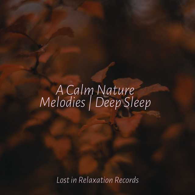 A Calm Nature Melodies | Deep Sleep - Album by Rest & Relax Nature ...