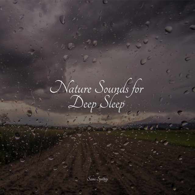 Nature Sounds for Deep Sleep - Album by White Noise Nature Sounds Baby ...