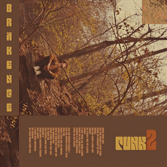 punk2 cover art
