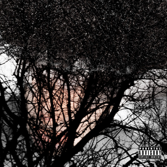 Nothing Free cover art