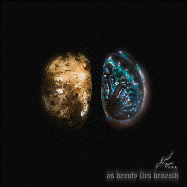 As beauty lies beneath cover art