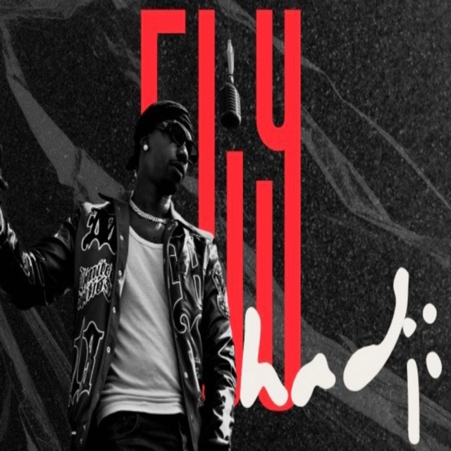 FLY cover art